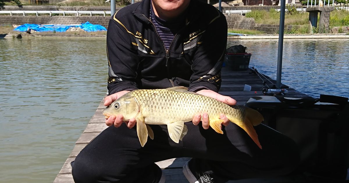 鯉釣り好調 福岡にある釣り堀cafe Noelのスタッフブログをご覧ください